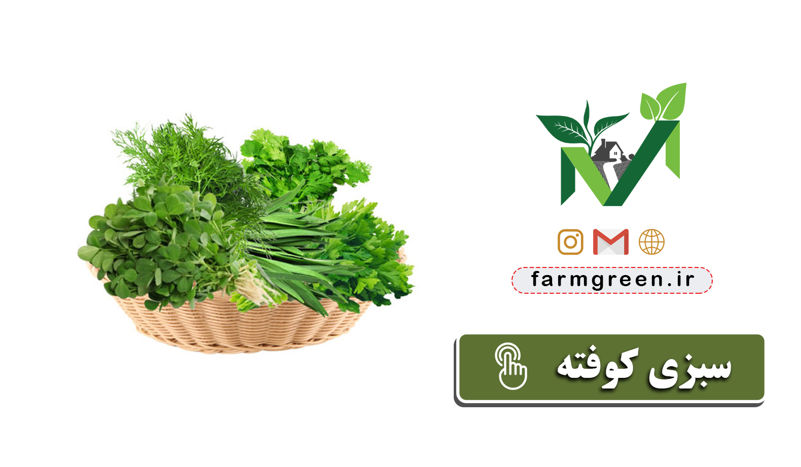 فروشگاه سبزیجات مزرعه نو تولید و توزیع سبزیجات تازه و مرغوب مزرعه سبز سبزی قورمه سبزی شنبلیله سبزی شوید سبزی تره سبزی گشنیز لوبیا سبز باقالی پلو باقلا کرفس سبزی کرفس سبزی سوپ سبزی گشنیز سبزی سبزی نعناع سبزی اش سبزی آش سبزی پلویی سبزی پلوئی